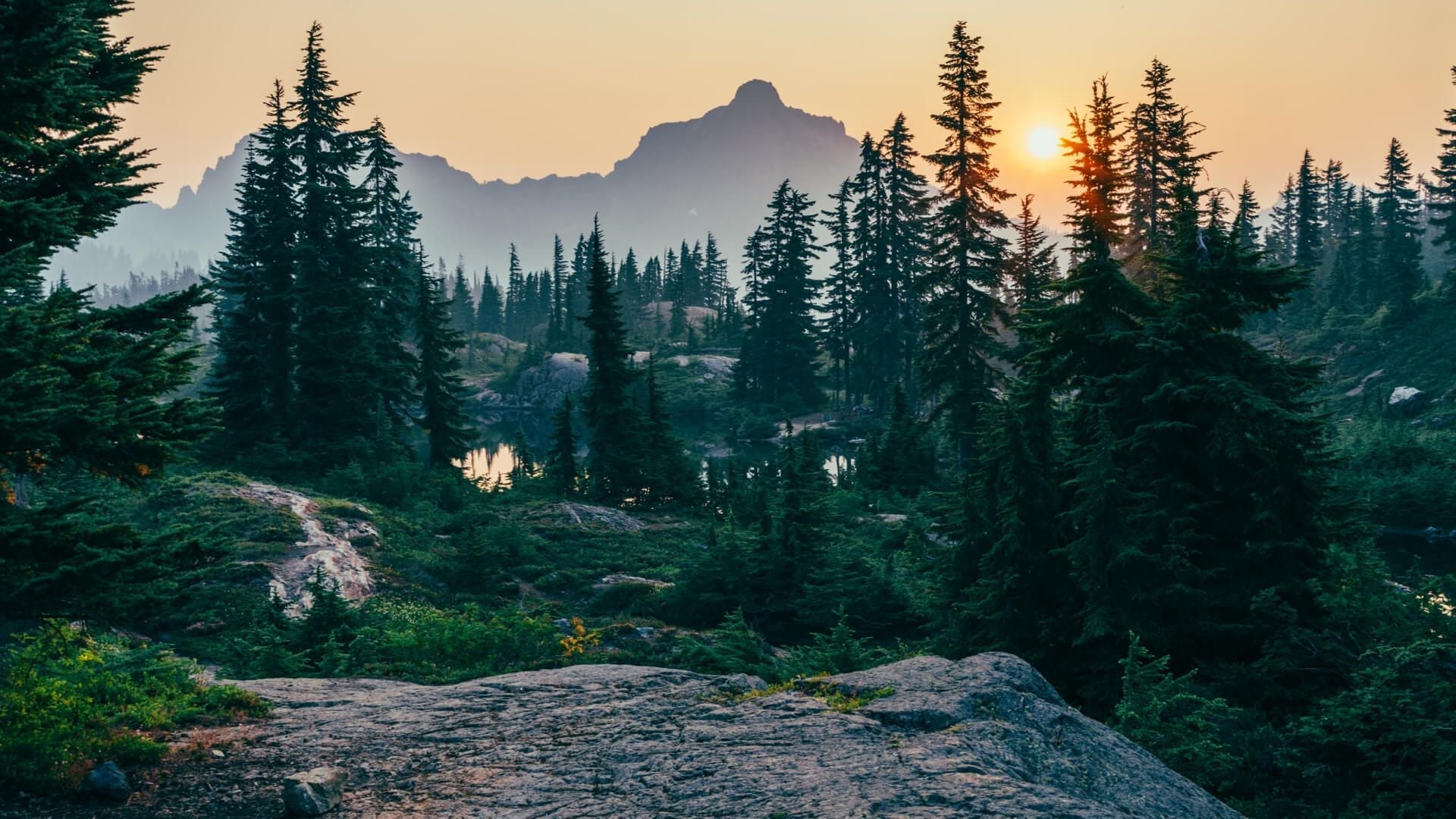 What Earth Day Means To Us