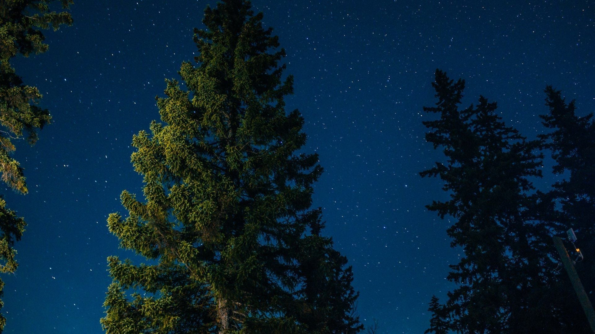 A Guide to Backyard Camping