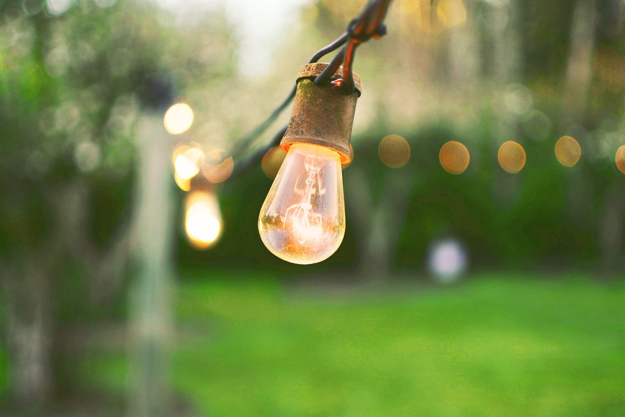 String Lights, Green Walls, and 11+ Other Ways to Transform Your Outdoor Space