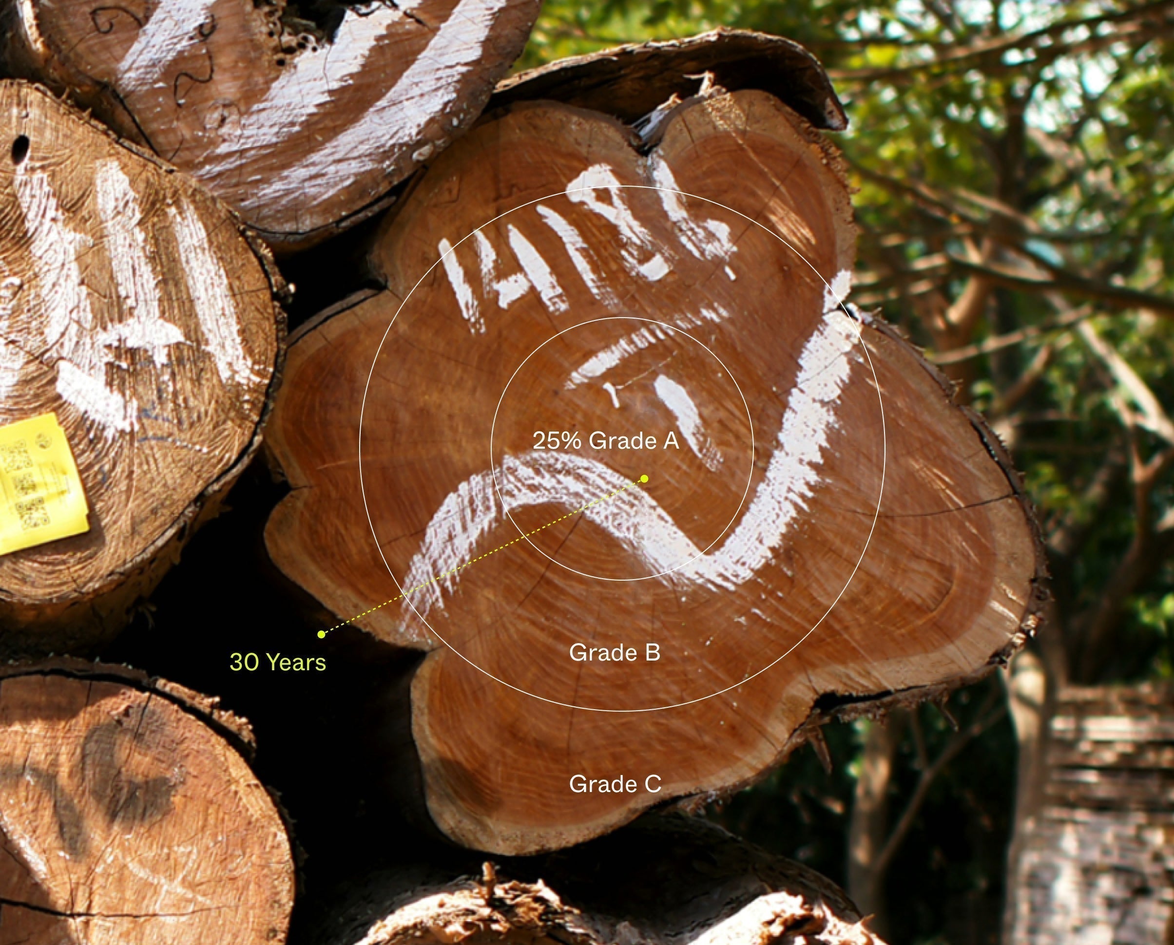 how-teak-furniture-is-made