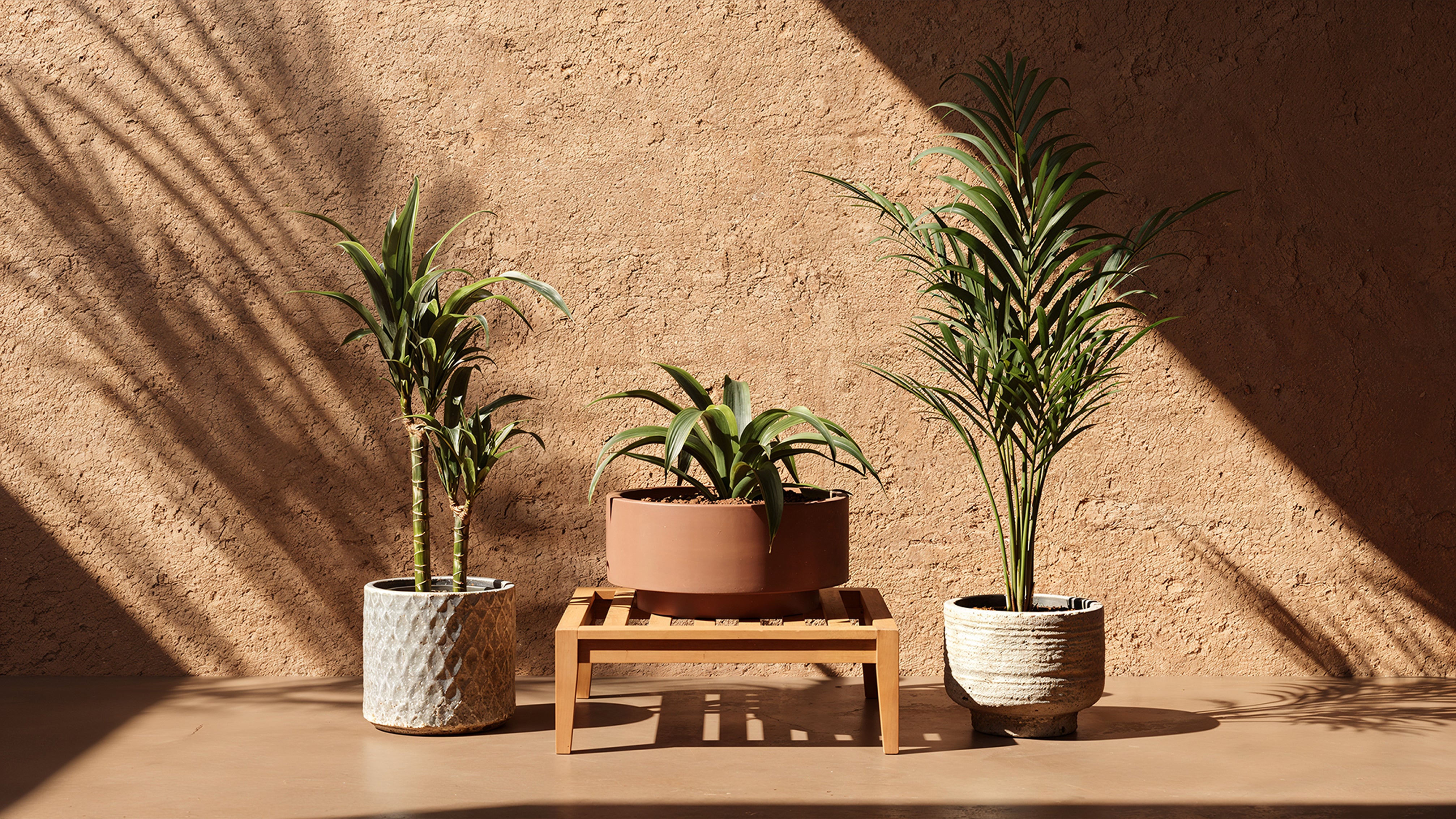 Teak ottoman with slatted surface used as a plant display stand, styled with multiple potted plants against a warm textured wall, emphasizing natural wood tones and minimalist outdoor decor