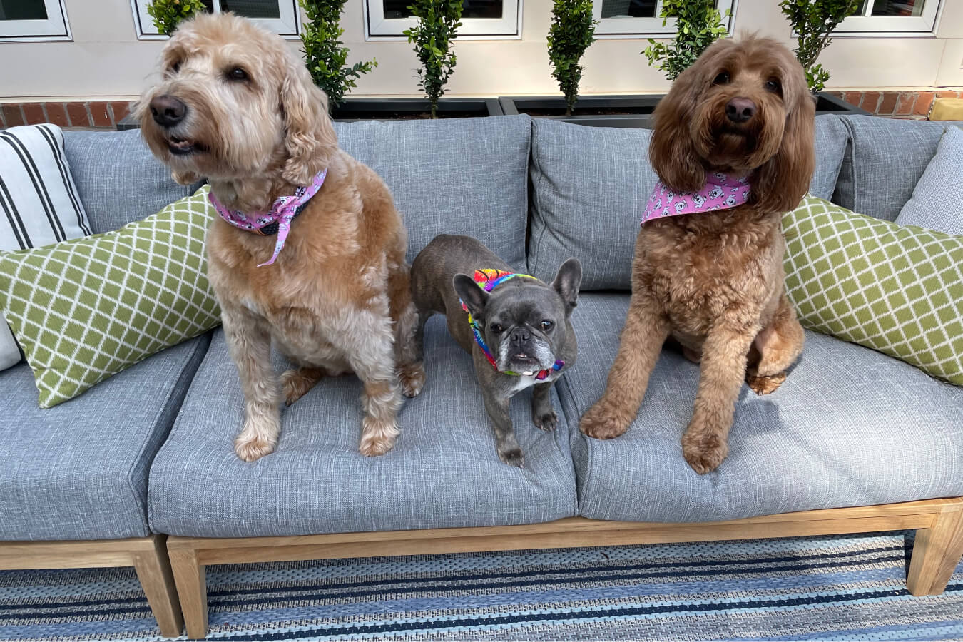 Comfort-First Outdoor Dining Design for Tables That Seat Twelve