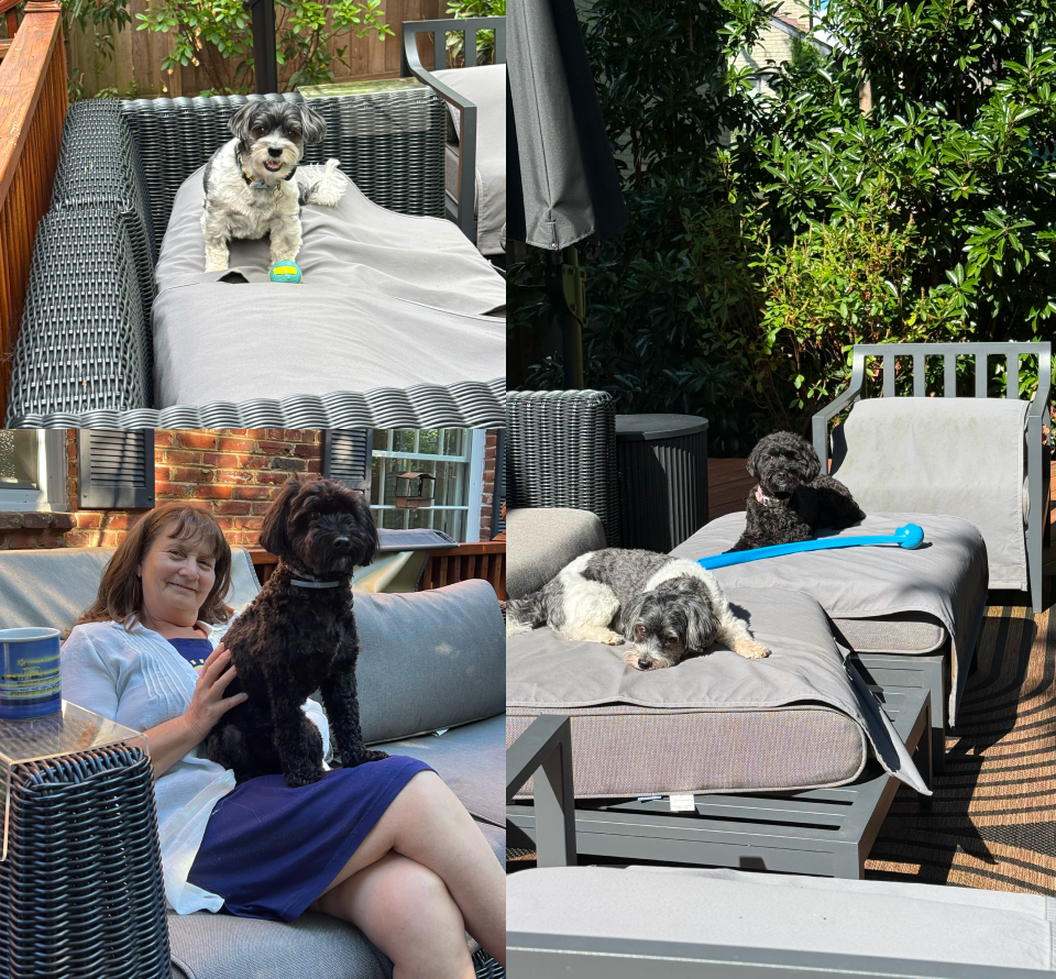 Jessica & Walter’s Outdoor Living Story | Outer