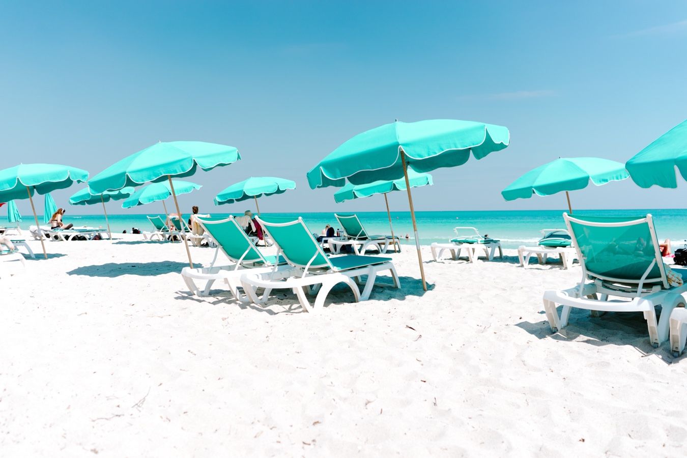 Local's Neighborhood Guide: Miami