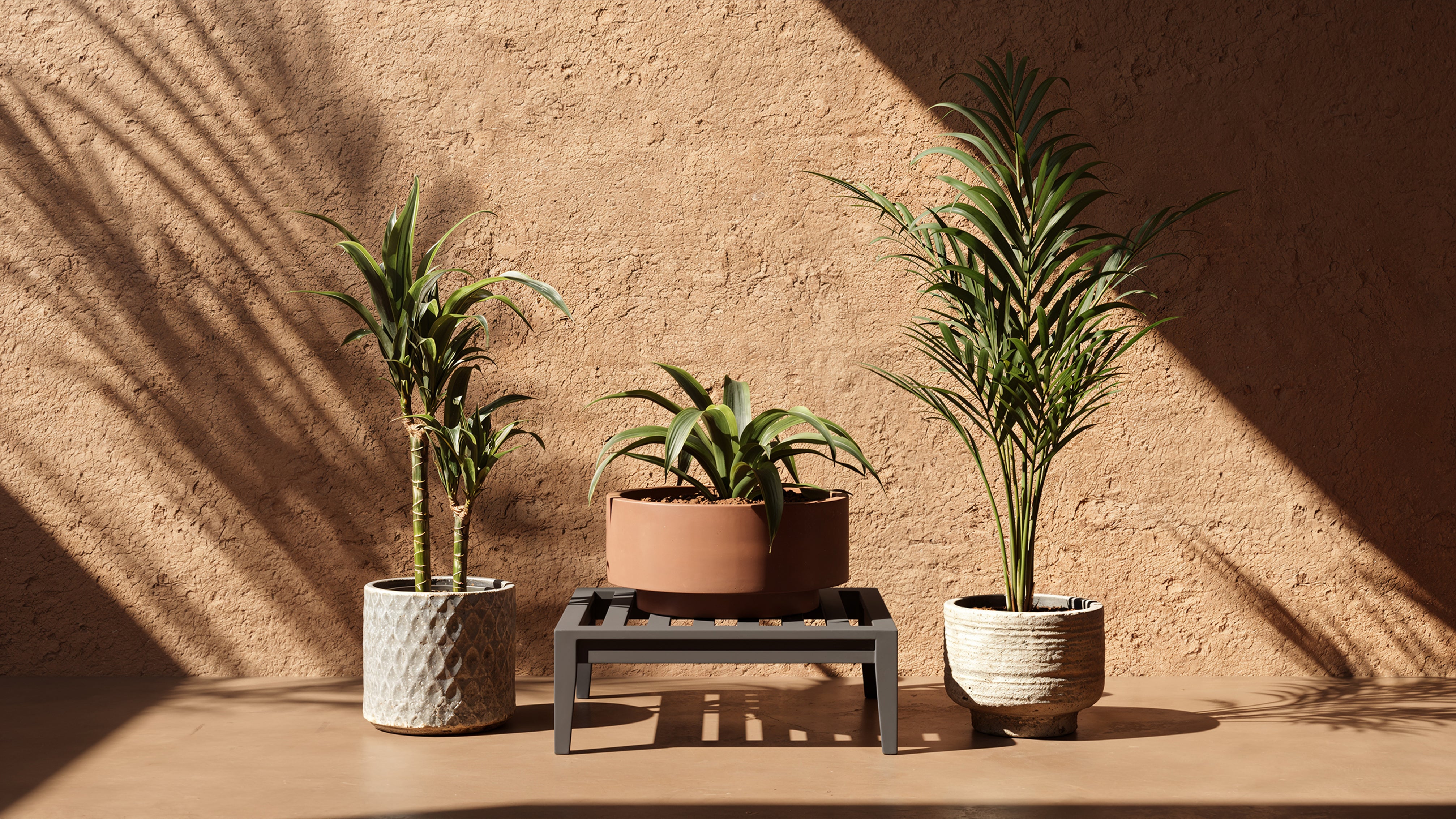 Outer charcoal outdoor ottoman used as modern plant stand with potted greenery against warm stucco wall
